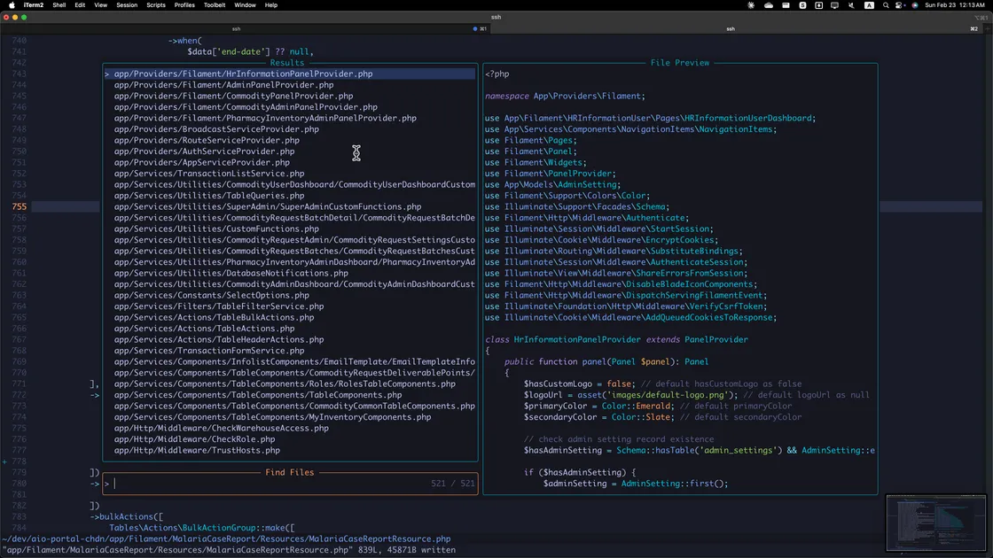 Neovim Editor